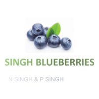 sINGH BLUE BERRI